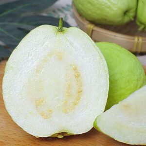 Fresh white guava (organic fruit)-US