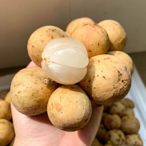 Fresh lansones (organic fruit)-US - Image 6