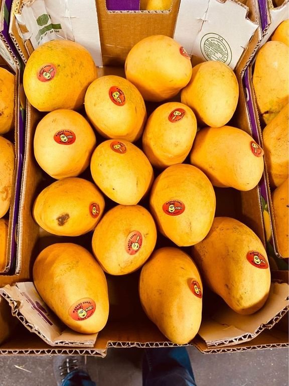 Freshly picked yellow mangoes-US - Image 3
