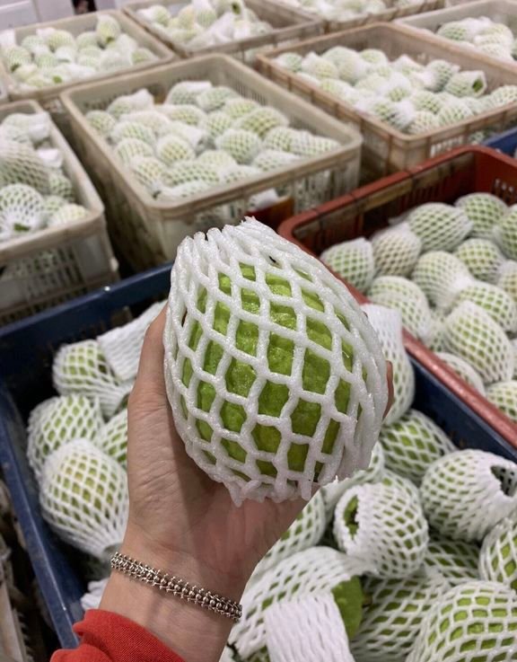 Fresh pink guava (organic fruit)-US - Image 5