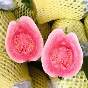 Fresh pink guava (organic fruit)-US