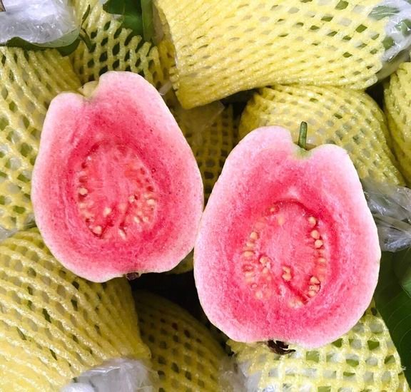 Fresh pink guava (organic fruit)-US