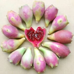 Fresh cactus fruit (organic fruit)-P