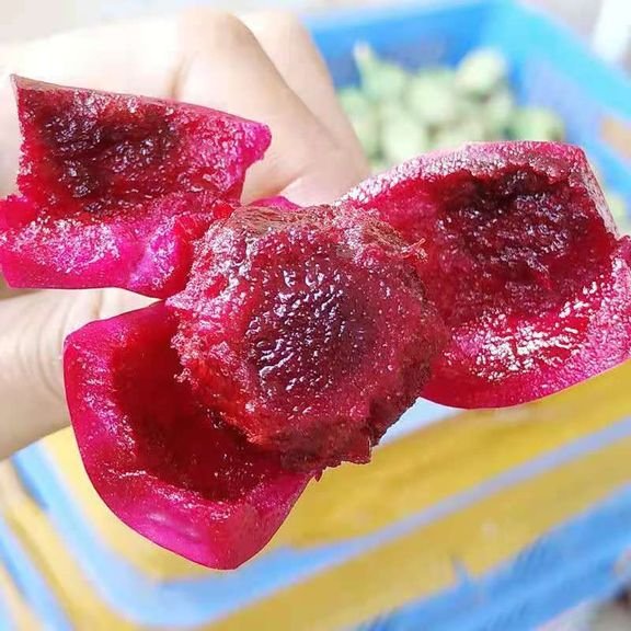 Fresh cactus fruit (organic fruit)-P - Image 3