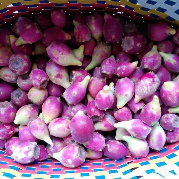 Fresh cactus fruit (organic fruit)-P - Image 6