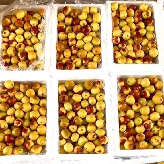 Fresh sweet date (organic fruit)-US - Image 6