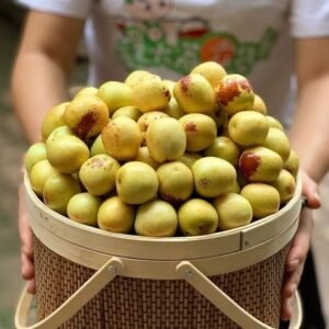 Fresh sweet date (organic fruit)-US
