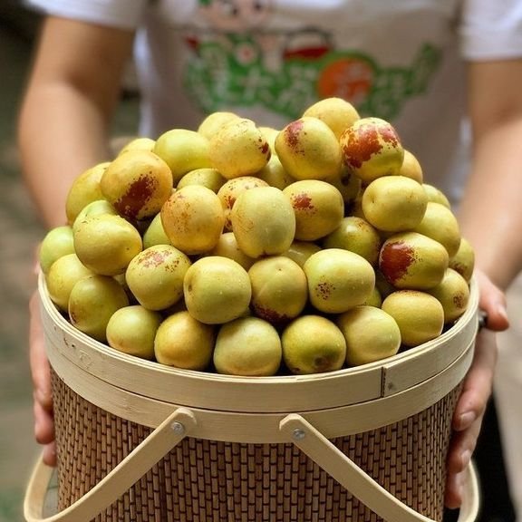 Fresh sweet date (organic fruit)-US