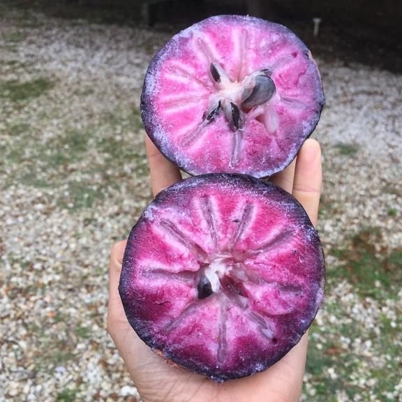 Fresh stars apples (organic fruit)-US - Image 2