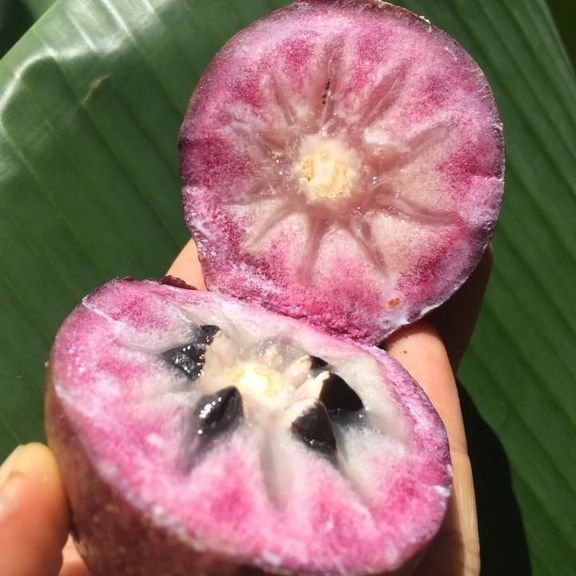 Fresh stars apples (organic fruit)-US - Image 4