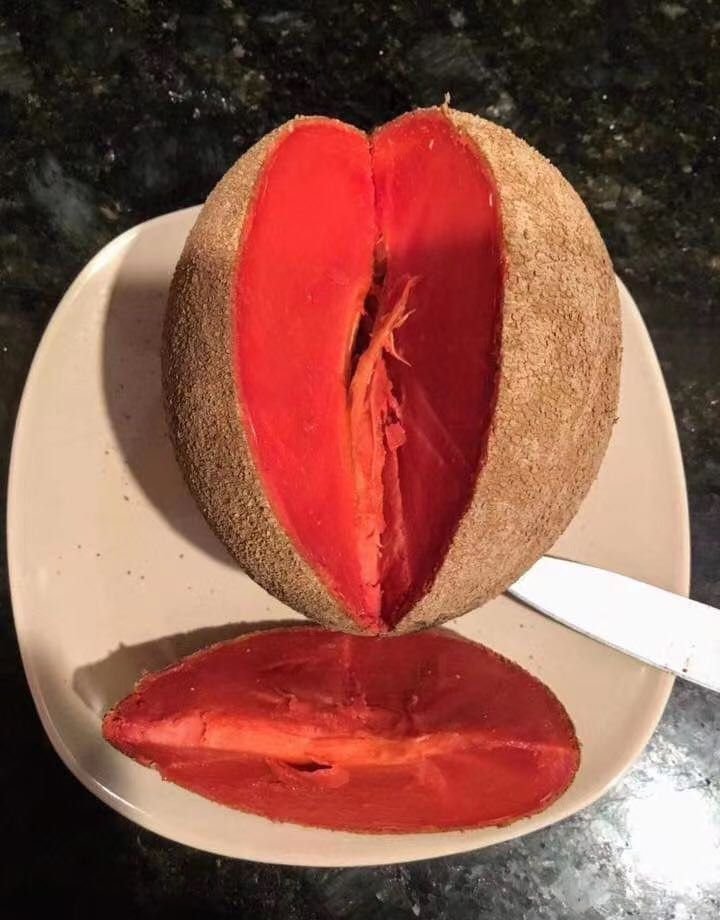 Fresh mamey sapote (organic fruit)-US - Image 3