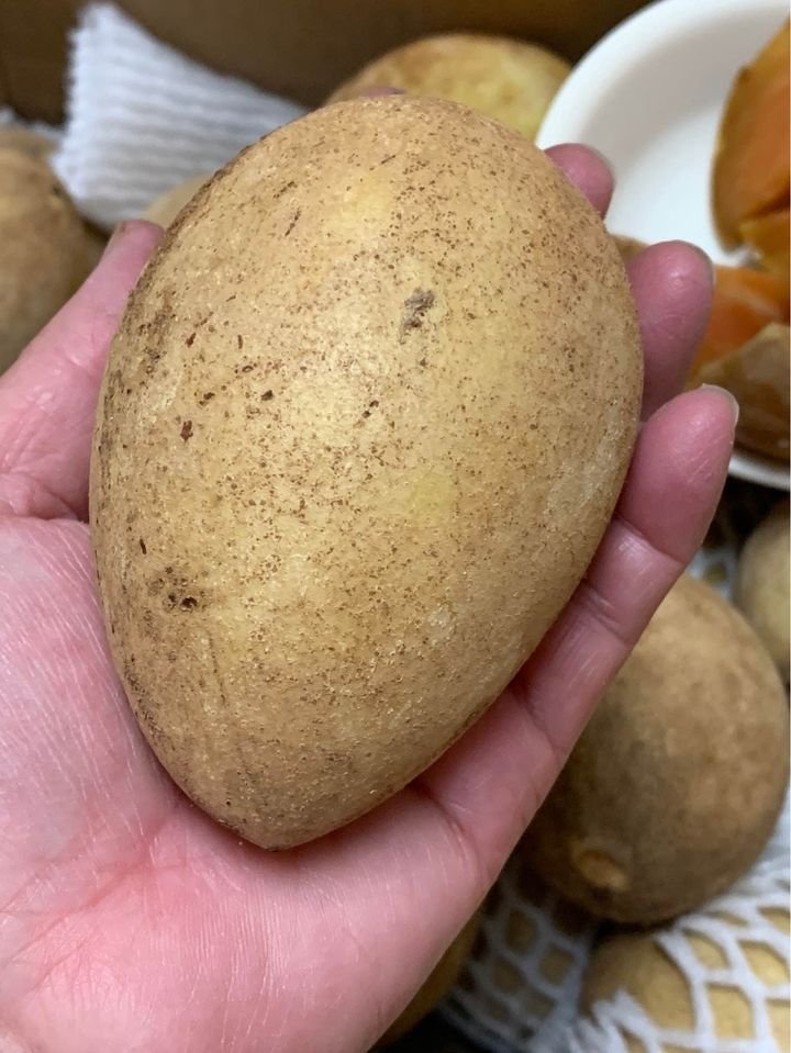 Fresh sapodilla(organic Fruits)-US - Image 3