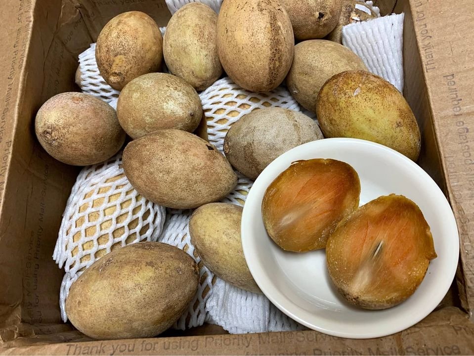 Fresh sapodilla(organic Fruits)-US - Image 5