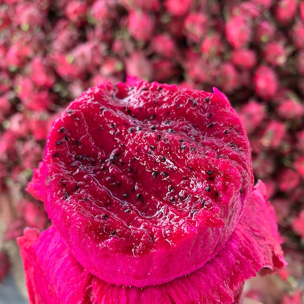 Fresh dragon fruit (organic fruits)-US - Image 5
