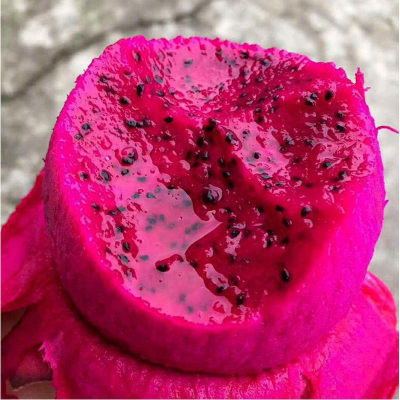 Fresh dragon fruit (organic fruits)-US - Image 6