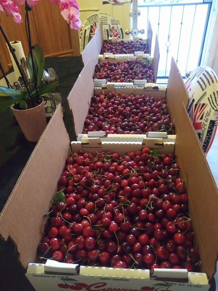 Fresh cherries (organic fruit)-US - Image 3
