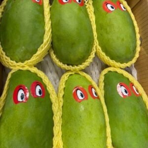 Fresh Thai mango (organic fruit)-US