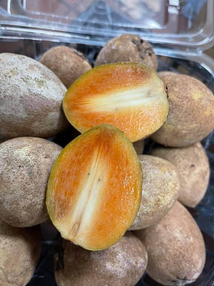 Fresh sapodilla(organic Fruits)-US - Image 2