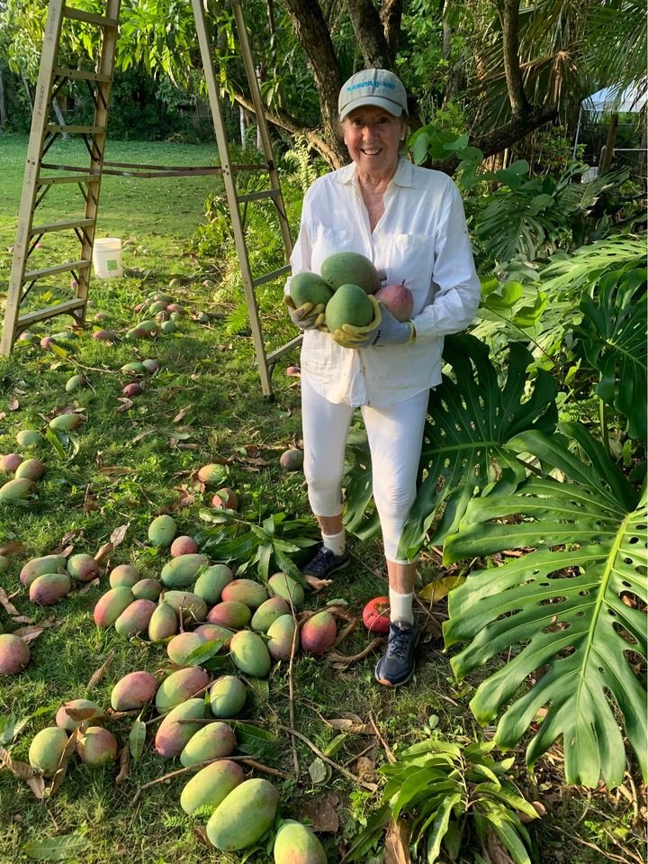 Fresh Thai mango (organic fruit)-US - Image 8