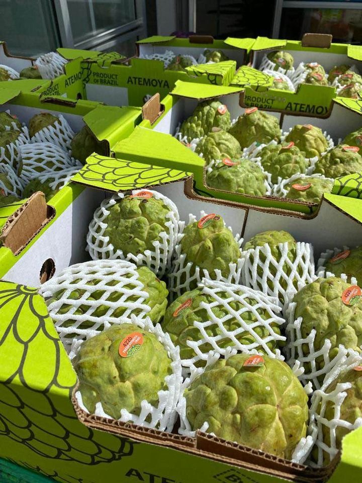 Fresh sugar apple (organic fruits)-US - Image 9