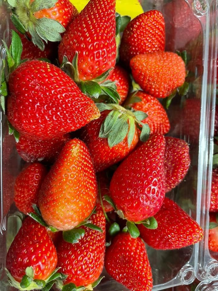 Fresh strawberry (organic fruit)-US - Image 4