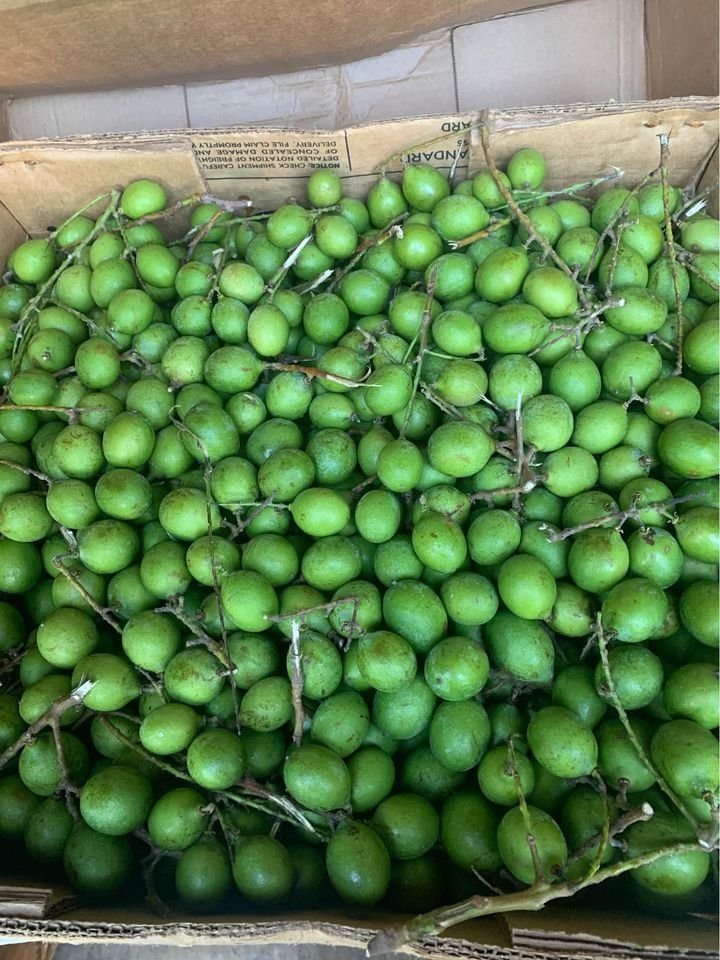 Mamoncillos quenepas (organic fruit)-US - Image 4
