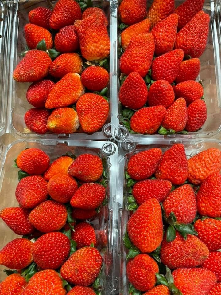 Fresh strawberry (organic fruit)-US - Image 7
