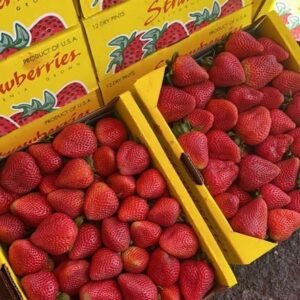 Fresh strawberry (organic fruit)-US