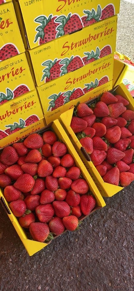 Fresh strawberry (organic fruit)-US