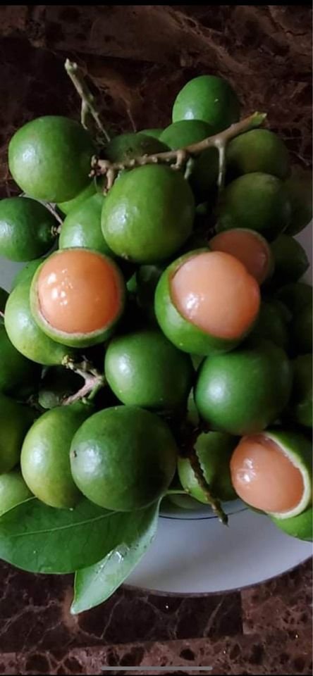 Mamoncillos quenepas (organic fruit)-US - Image 2