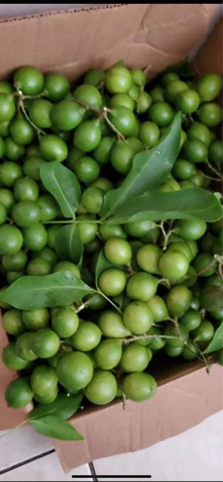 Mamoncillos quenepas (organic fruit)-US - Image 3