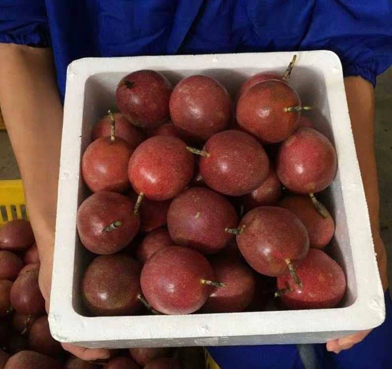 Fresh purple passion fruit (organic fruits)-US - Image 3