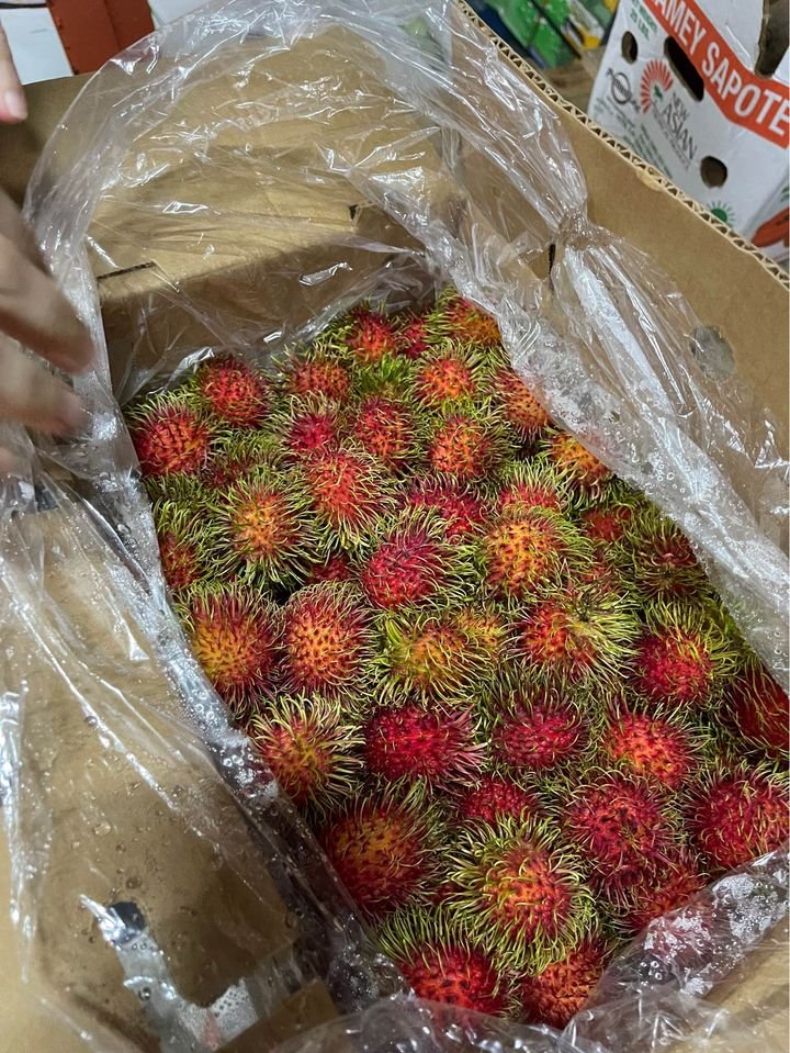 Fresh rambutan (organic fruit)-US - Image 4