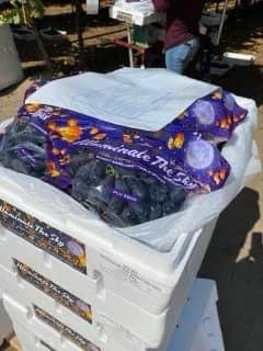 Fresh black grape (organic fruit)-P - Image 6