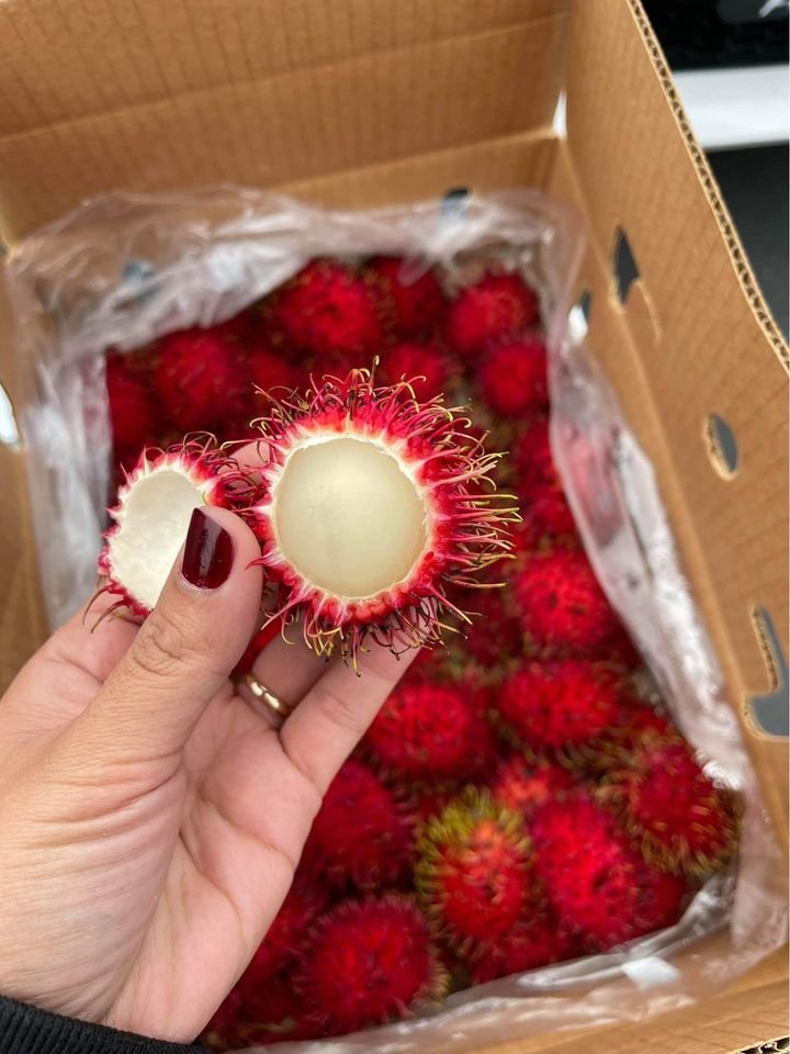 Fresh rambutan (organic fruit)-US - Image 2
