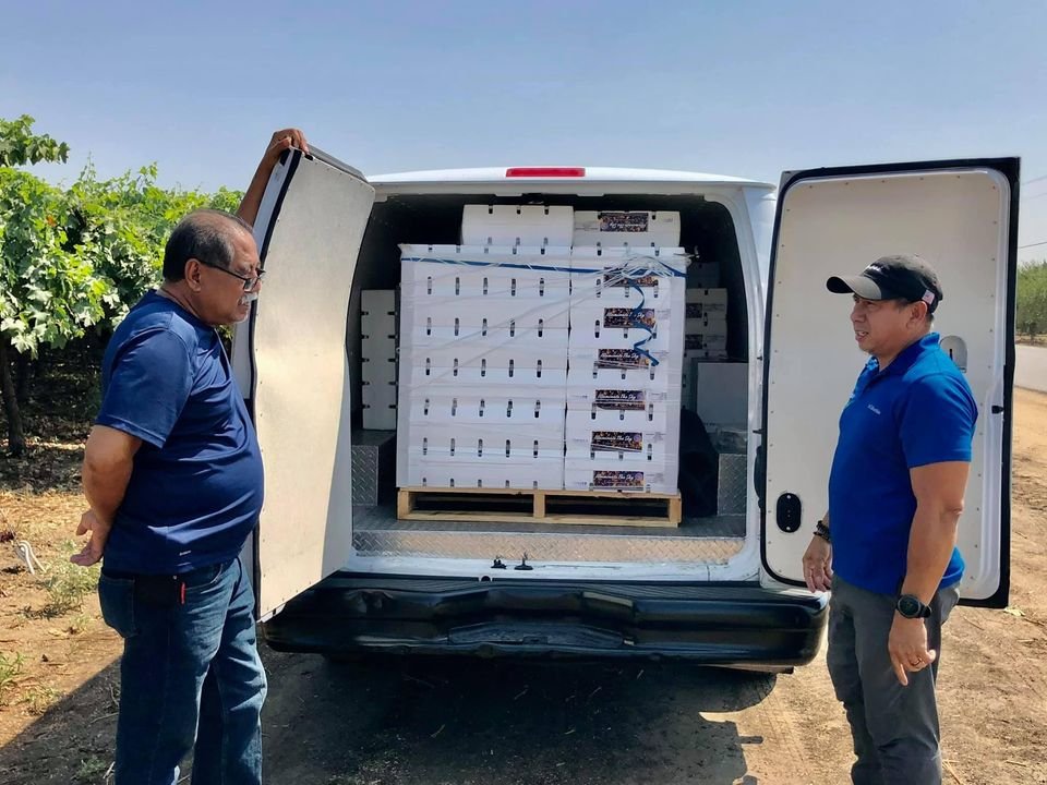 Fresh black grape (organic fruit)-P - Image 7