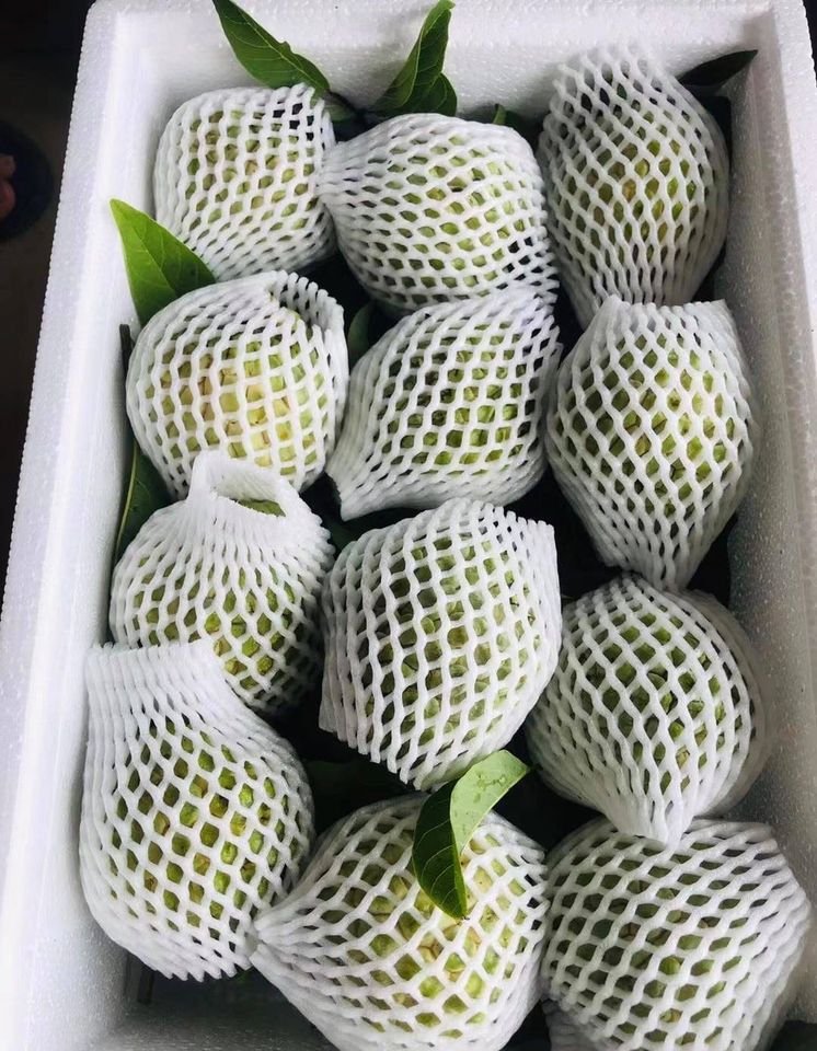 Fresh sugar apple (organic fruits)-US - Image 7