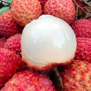 Fresh lychees (organic fruit) -US