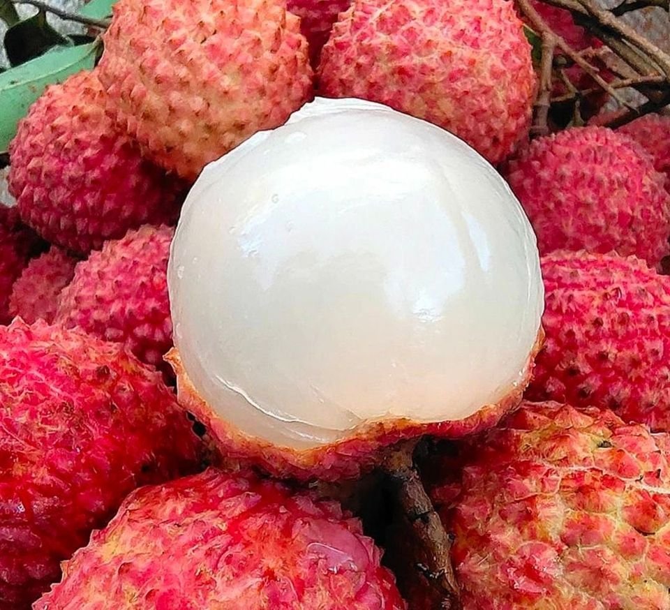 Fresh lychees (organic fruit) -US