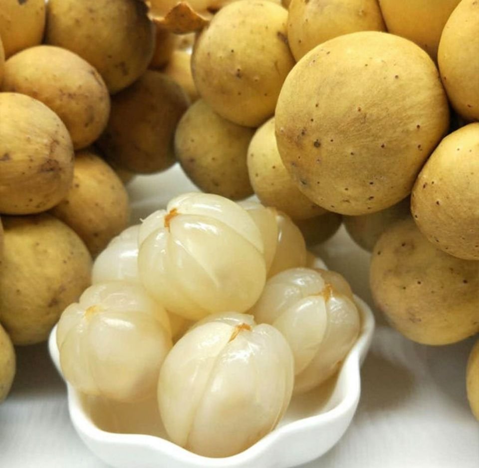 Fresh lansones (organic fruit)-US - Image 4