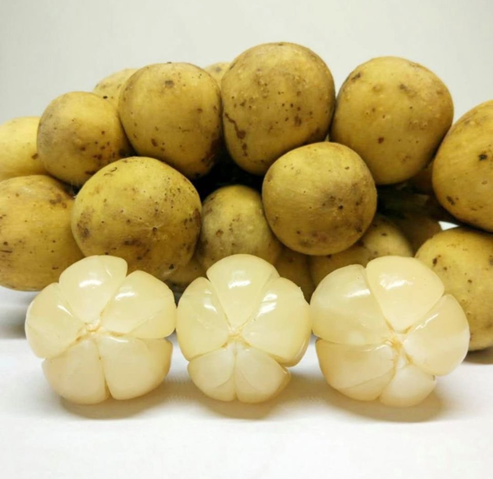 Fresh lansones (organic fruit)-US - Image 5