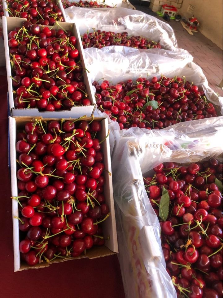 Fresh cherries (organic fruit)-US - Image 5