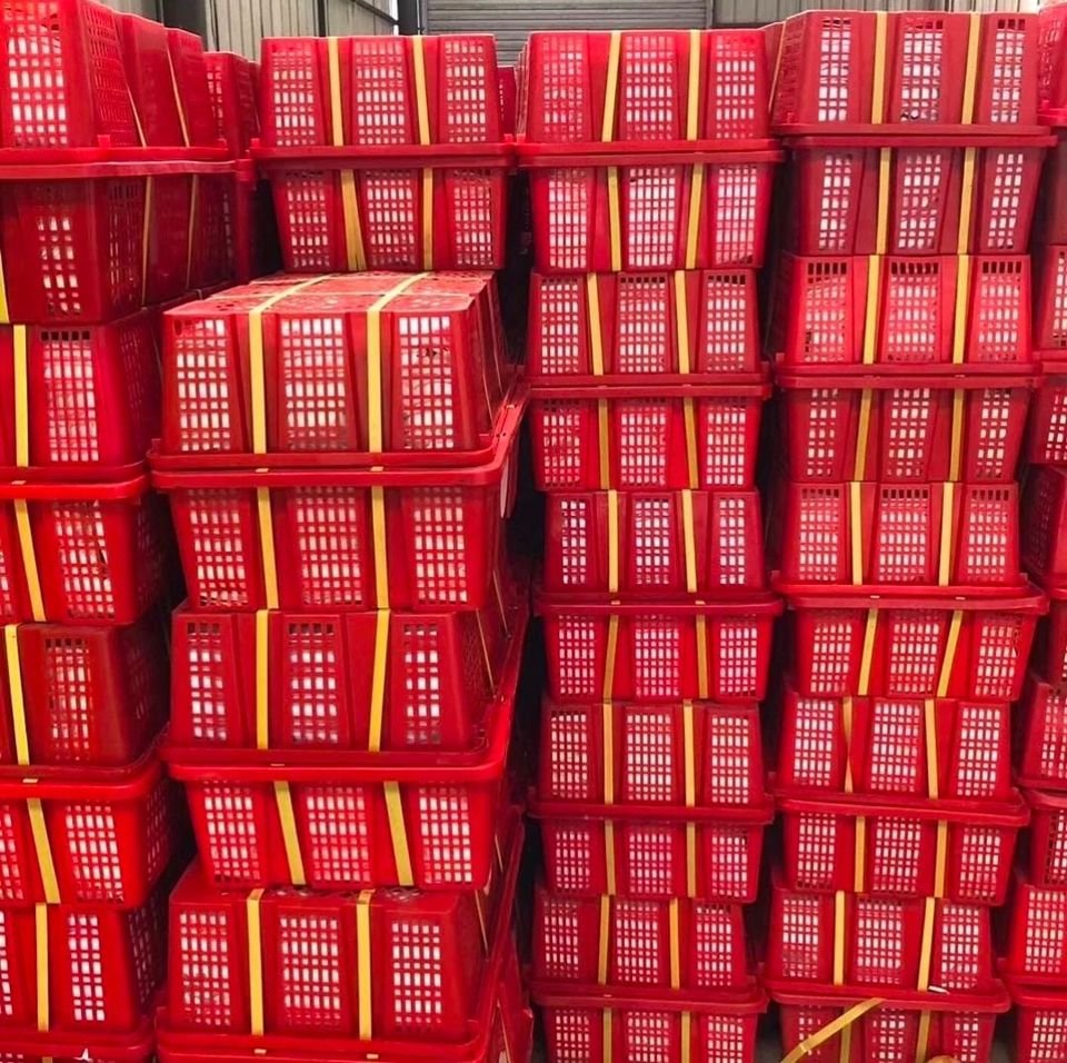 Fresh mangosteen (organic fruit)-US - Image 8