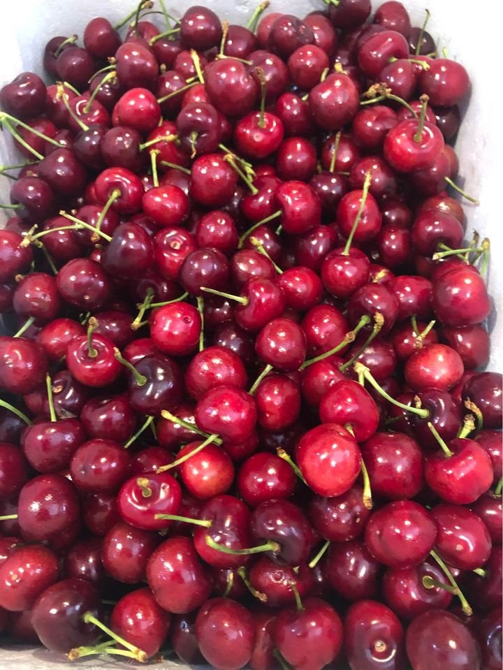 Fresh cherries (organic fruit)-US