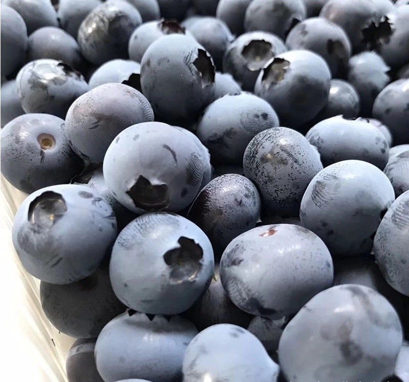 Fresh blueberry (organic fruit)-US - Image 3
