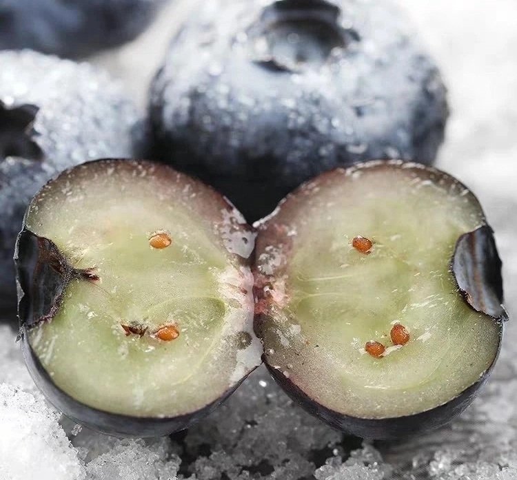 Fresh blueberry (organic fruit)-US - Image 2