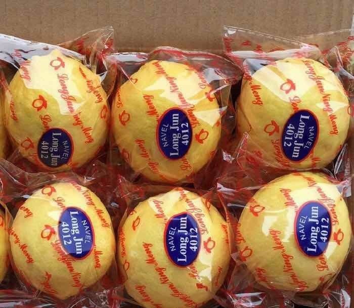 Fresh lemon (organic fruit)-US - Image 5