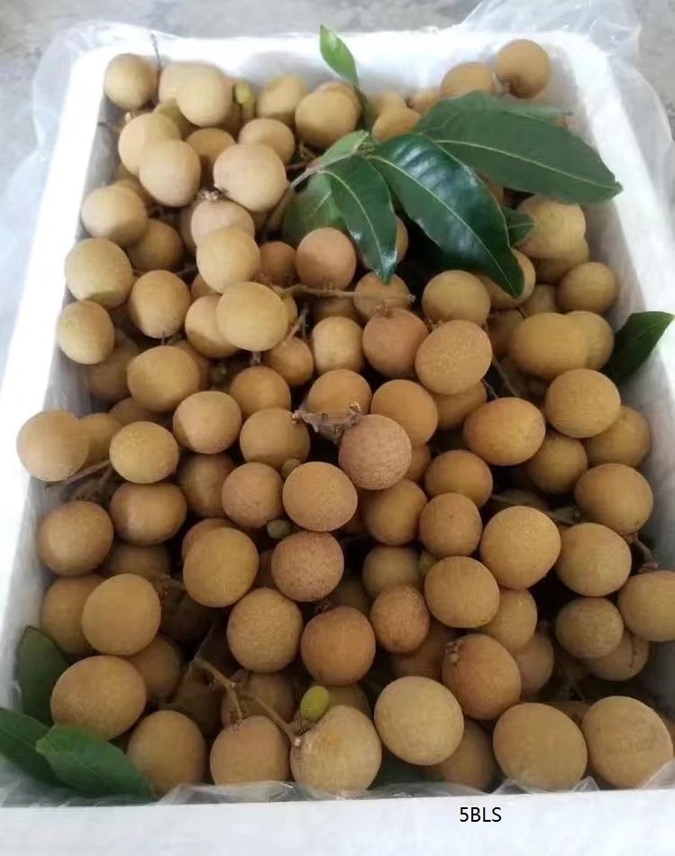 Fresh longan (organic fruit)-US - Image 6