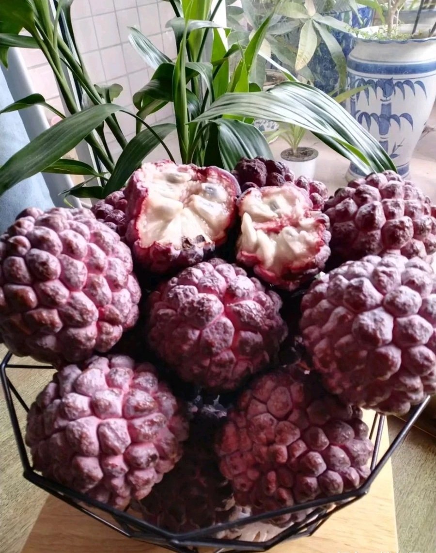 Fresh rose sugar apple (organic fruits)-US - Image 2
