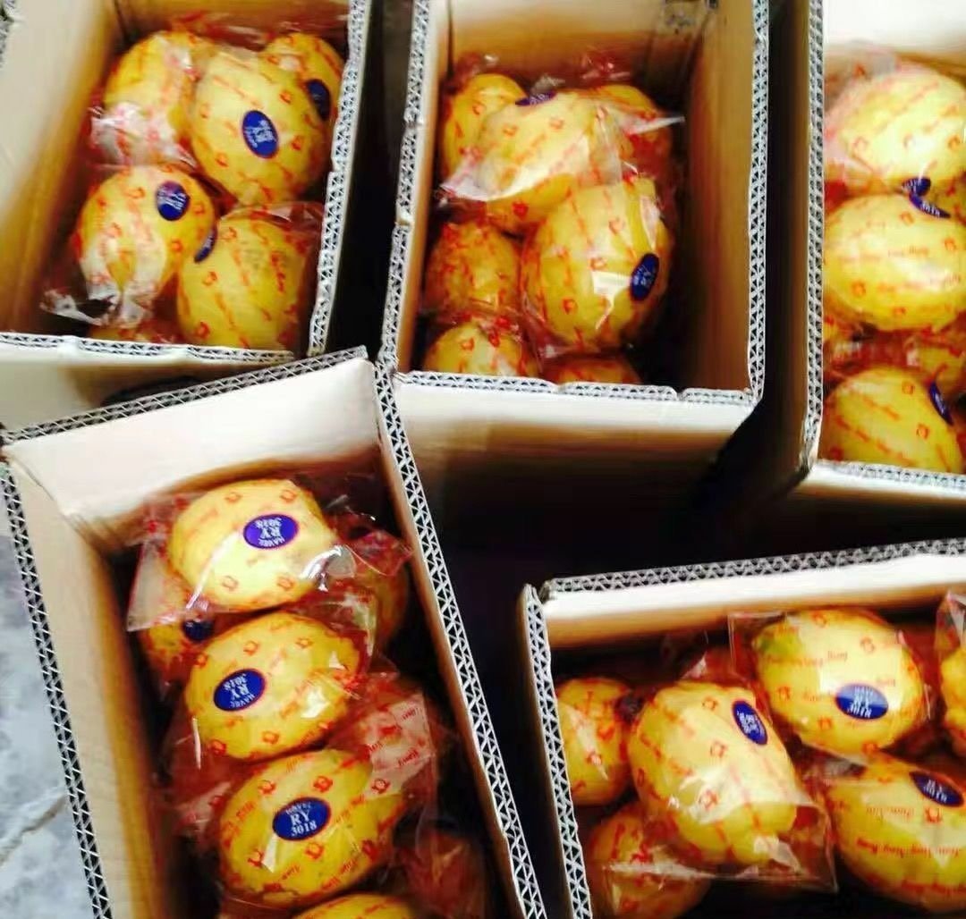 Fresh lemon (organic fruit)-US - Image 6